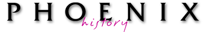 Phoenix Corporation Ltd.